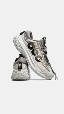 Кросівки Nike ACG Mountain Fly Low 2 Iron Ore, 36