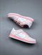 Кроссовки Nike SB Dunk x Civilist low pink