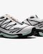 Кросівки Salomon XT-6 White Icy Morn, 36