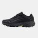 Кросівки Adidas Terrex Black Gore-Tex, 42