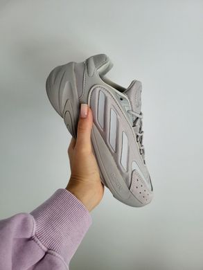 Кросівки Adidas Ozelia Grey