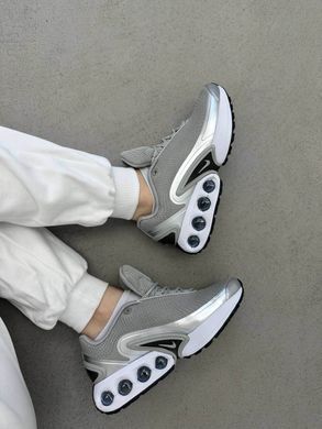 Кросівки Nike Air Max DN Grey Silver White, 43