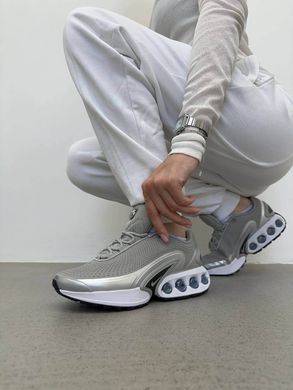 Кросівки Nike Air Max DN Grey Silver White, 43