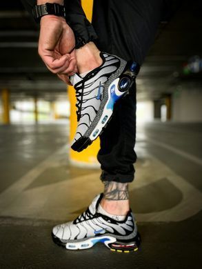 Кроссовки NK Air Max TN Plus Schwarz Grey Blue, 42