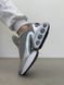 Кросівки Nike Air Max DN Grey Silver White, 43