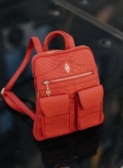 Рюкзак червоний, 30x25x3