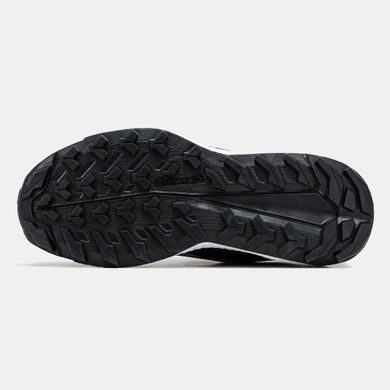 Кроссовки Adidas Terrex Free Hiker 2.0 Gore-Tex Black White, 44