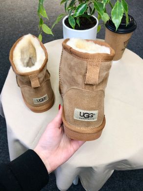 Ботинки UGG Classic Mini Chestnut, 36