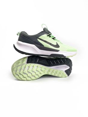Кроссовки Nike Pegasus Grey Green White, 41