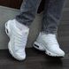 Кроссовки Nike Air Max TN Terrascape Plus White, 36