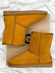 Ботинки UGG Classic Short Caramel, 37