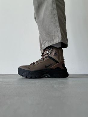 Кроссовки Nike ACG Air Zoom Gaiadome GTX Brown