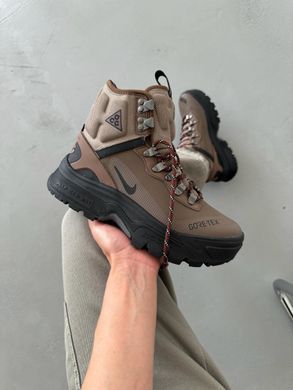 Кроссовки Nike ACG Air Zoom Gaiadome GTX Brown