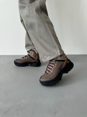 Кроссовки Nike ACG Air Zoom Gaiadome GTX Brown