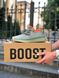 Кросівки Adidas Yeezy Boost 350 v2 Desert Sage, 36