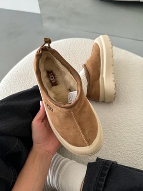 Черевики UGG Tasman Hybrid Chestnut Beige