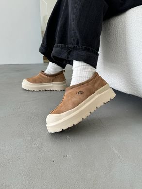 Черевики UGG Tasman Hybrid Chestnut Beige