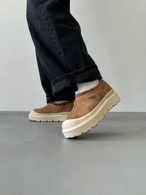 Ботинки UGG Tasman Hybrid Chestnut Beige