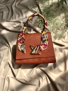 Сумка Louis Vuitton Twist Brown, 24х18х10